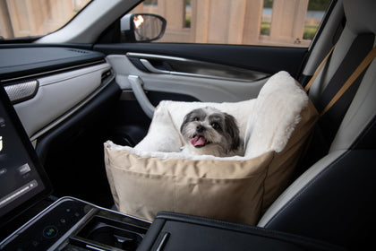 Dog Car Seat