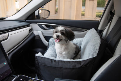 Dog Car Seat
