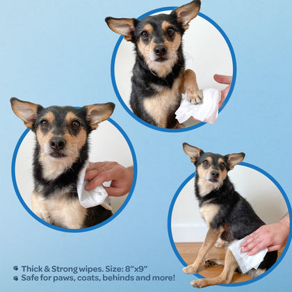 Grooming Pet Wipes
