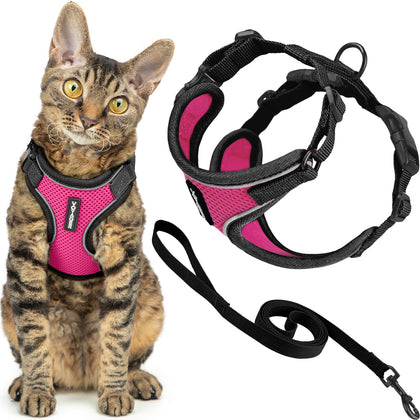Voyager Escape Proof Cat Harness and Leash Set with Black Trim
