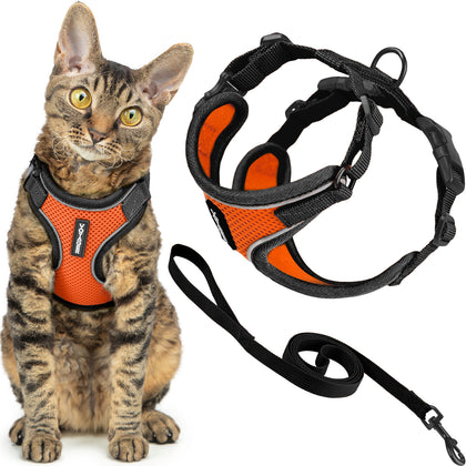 Voyager Escape Proof Cat Harness and Leash Set with Black Trim