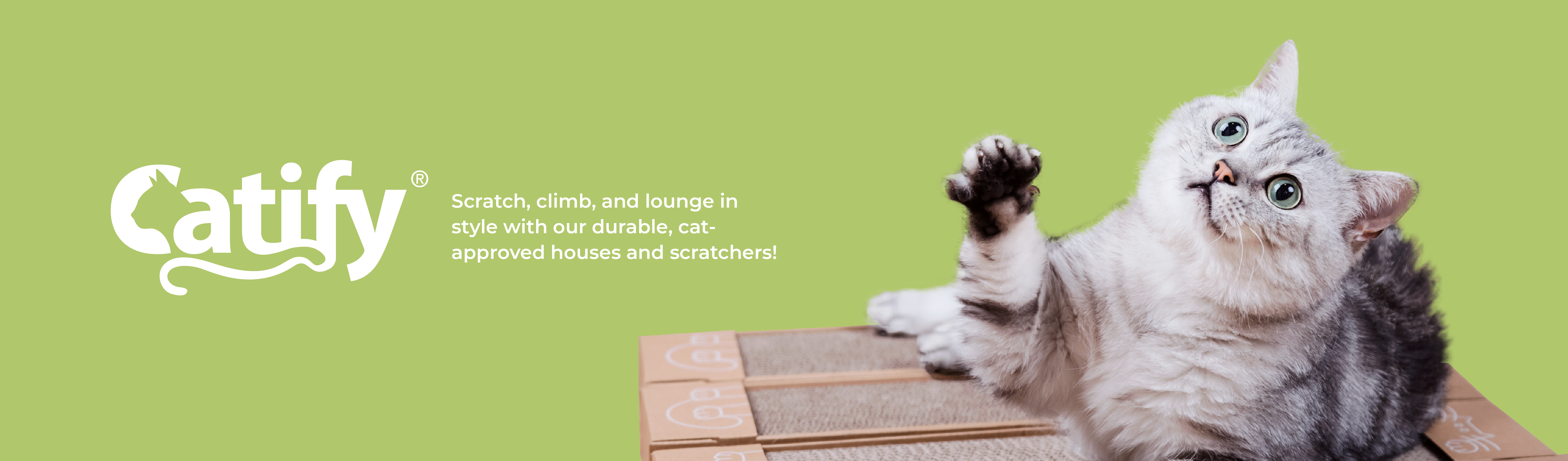 Explore Catify cat essentials for playful & comfortable pets