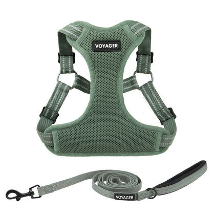 Halloween Step-In Flex Harness & Leash Set