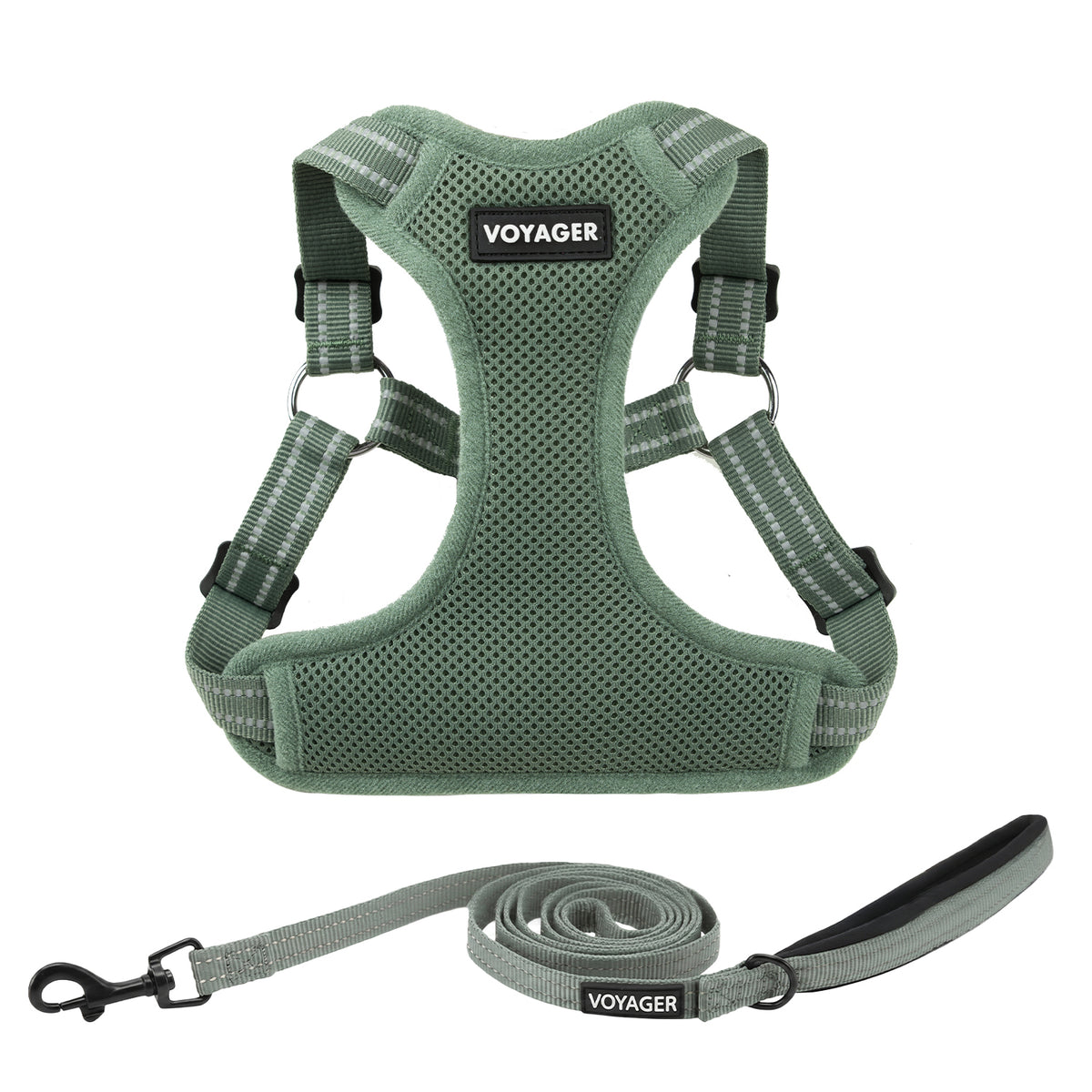 Halloween Step-In Flex Harness & Leash Set