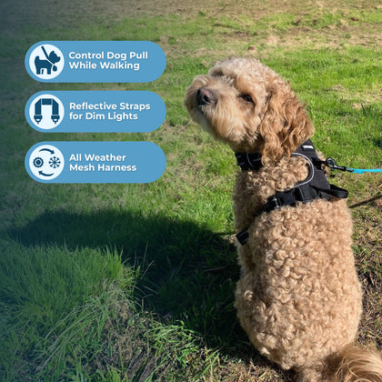 Dual-Attachment Dog Harness & Leash Set