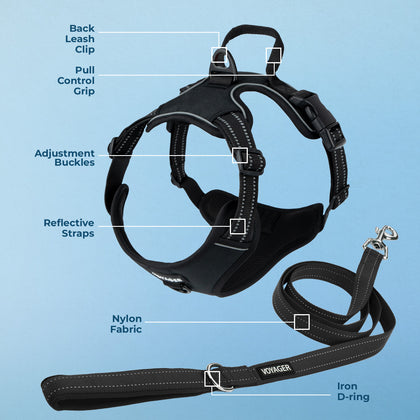 Dual-Attachment Dog Harness & Leash Set