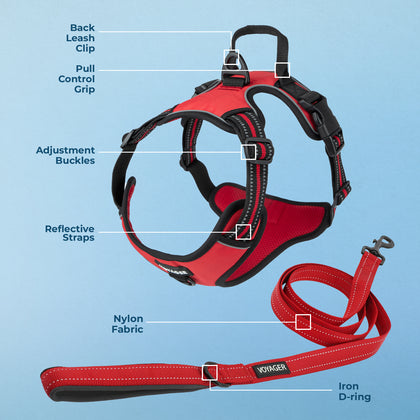 Dual-Attachment Dog Harness & Leash Set