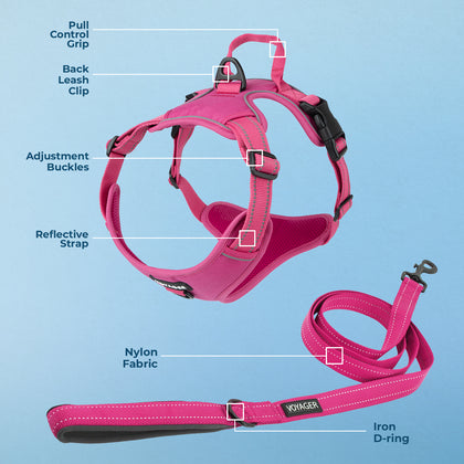 Dual-Attachment Dog Harness & Leash Set