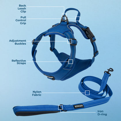 Dual-Attachment Dog Harness & Leash Set