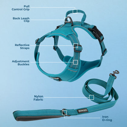 Dual-Attachment Dog Harness & Leash Set