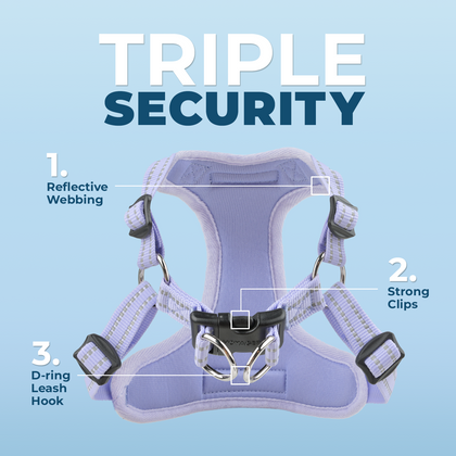 Step-In Flex Dog Harness: Comfortable for Every Adventure