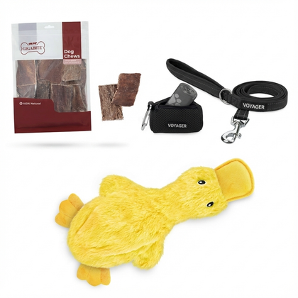 Dog Essentials Bundle - Small to Medium Dogs