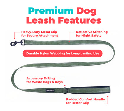 Reflective Dog Leash For Safer Walks At Night