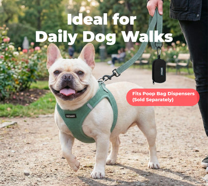 Reflective Dog Leash For Safer Walks At Night