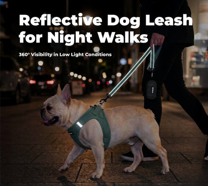 Reflective Dog Leash For Safer Walks At Night