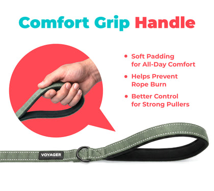 Reflective Dog Leash For Safer Walks At Night