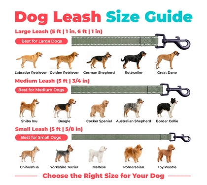 Reflective Dog Leash For Safer Walks At Night
