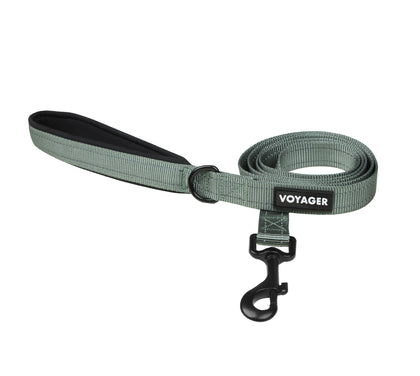 Reflective Dog Leash For Safer Walks At Night