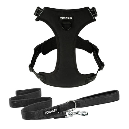 Dual-Attachment Dog Harness & Leash Set