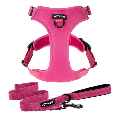 Dual-Attachment Dog Harness & Leash Set