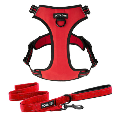 Dual-Attachment Dog Harness & Leash Set