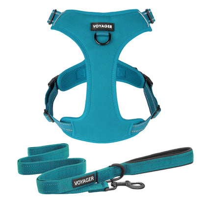 Dual-Attachment Dog Harness & Leash Set