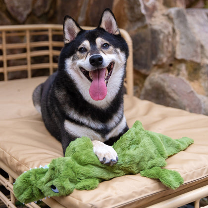 2-in-1 Fun Skins Stuffing Free Dog Toys (4-Pack Set)