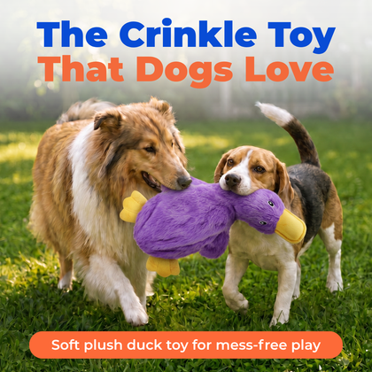 Halloween Crinkle Duck Stuffless Dog Toy