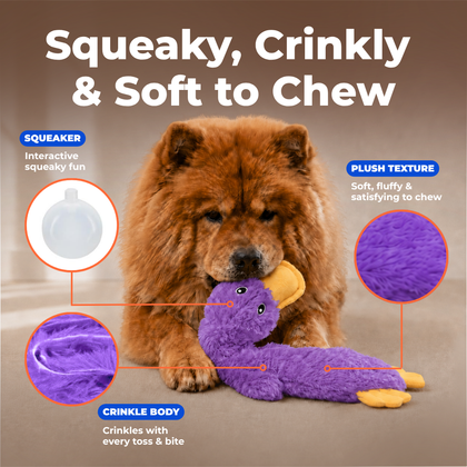 Halloween Crinkle Duck Stuffless Dog Toy