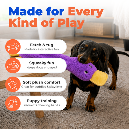 Halloween Crinkle Duck Stuffless Dog Toy