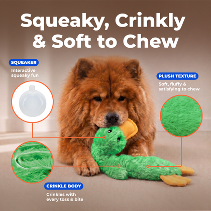 Halloween Crinkle Duck Stuffless Dog Toy