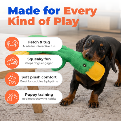 Halloween Crinkle Duck Stuffless Dog Toy
