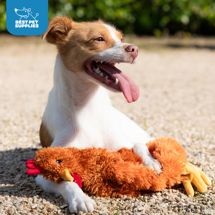 Crinkle Chicken Stuffless Dog Toy