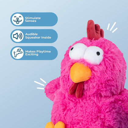 Mrs. Cluck Squeaky Plush Dog Toy