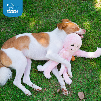 OctoMutant Squeaky Plush Dog Toy Set