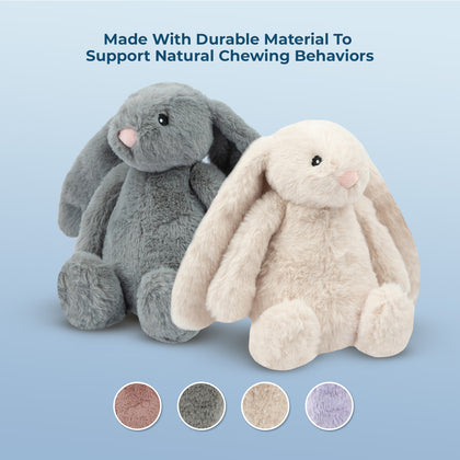 Bunny Buddies Squeaky and Crinkle Plush Toys