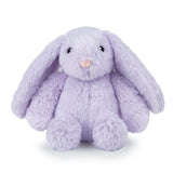 Bunny Buddies Squeaky and Crinkle Plush Toys