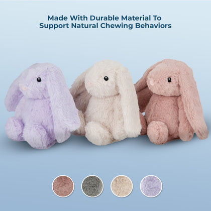 Bunny Buddies Squeaky and Crinkle Plush Toys