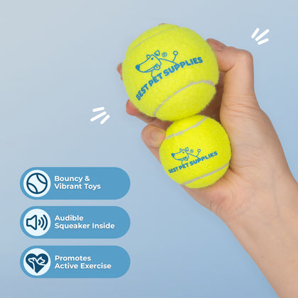 Dog Toy Enrichment Bundle - 4 Piece Set w/ Tennis Balls, Plush Squeak Toy & Crinkle Stuff-less Toy