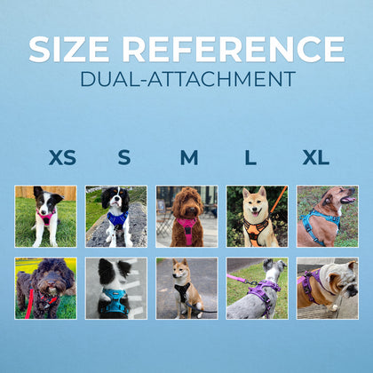 Dual-Attachment Dog Harness & Leash Set