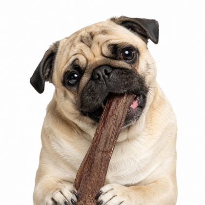 GigaBite Beef Esophagus Dog Teats