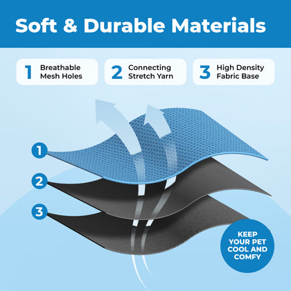 Voyager Escape Proof Cat Harness and Leash Set with Black Trim