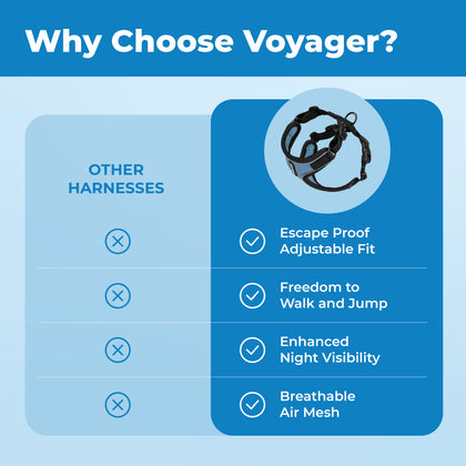 Voyager Escape Proof Cat Harness and Leash Set with Black Trim