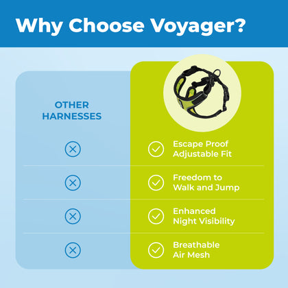 Voyager Escape Proof Cat Harness and Leash Set with Black Trim