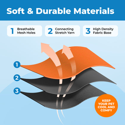 Voyager Escape Proof Cat Harness and Leash Set with Black Trim