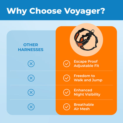 Voyager Escape Proof Cat Harness and Leash Set with Black Trim