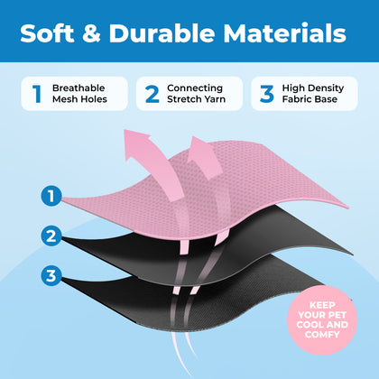 Voyager Escape Proof Cat Harness and Leash Set with Black Trim