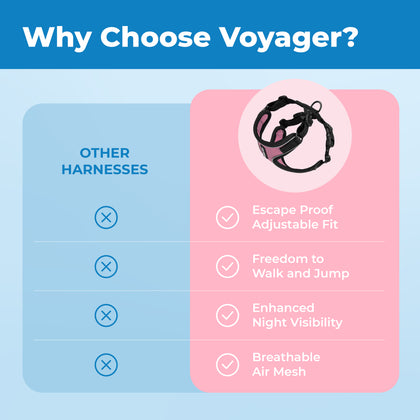 Voyager Escape Proof Cat Harness and Leash Set with Black Trim