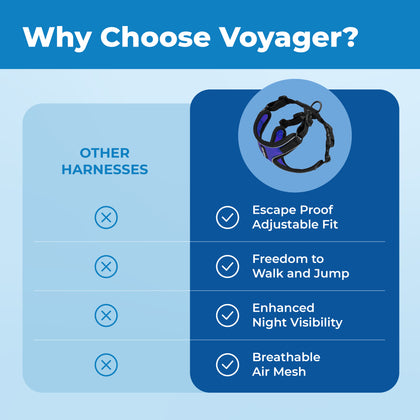 Voyager Escape Proof Cat Harness and Leash Set with Black Trim