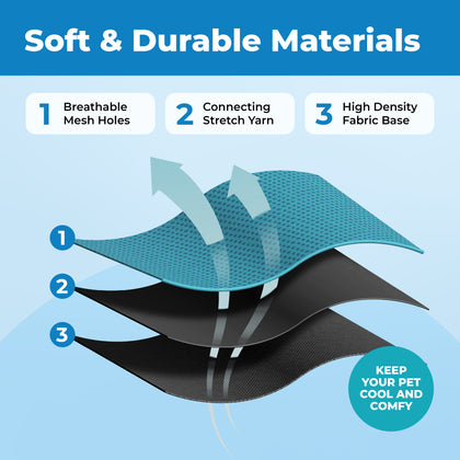 Voyager Escape Proof Cat Harness and Leash Set with Black Trim